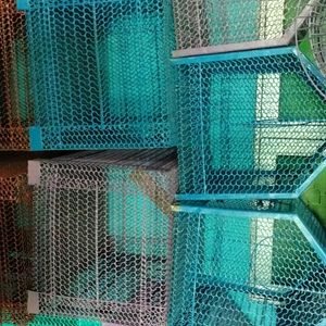 Parrot  Birds Rabbit Cat Etc Cage Pijara Cag