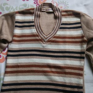 Brown Sweater