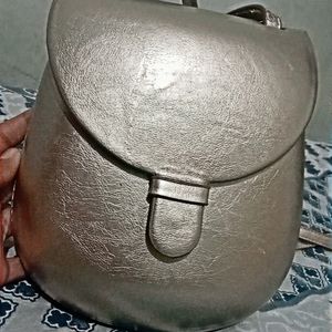 Classy Shiny Slingbag