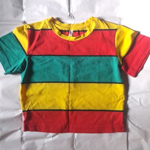 Multicolor Striped Women's Crop Top Girl's Tee 🌈