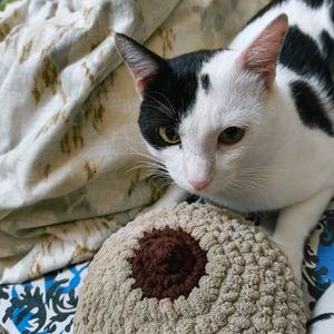 Crochet Plush Boobies