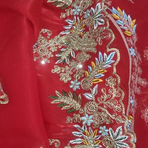 Vibrant Beautiful Red Saree In Jimmy Choo Fabric