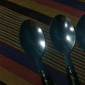 6 Piece Spoon Set