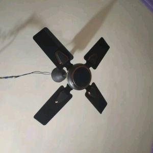 Candes Brio Turbo 600 Mm 4 Blade Ceiling Fan