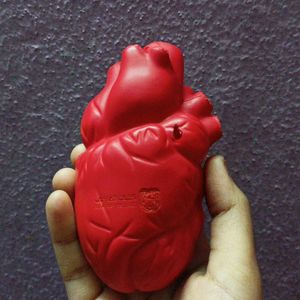 Stress Relief Squeezable Heart