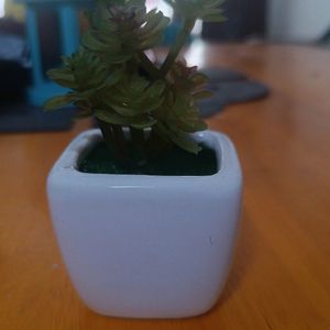 Look Alike Artificial Succulent In Ceramic Pot