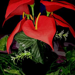 Artificial Anthurium Red Flower With Pot