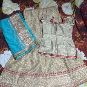 Party Wear Lehenga