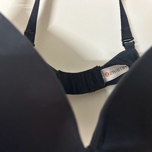 Zivame Padded TShirt Bra