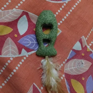 Catnip Cat Toy