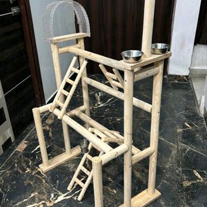 Parrot Playing Stand & Activities This Amazing Kit