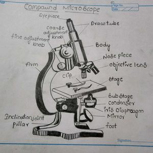 ZOOLOGY Record For Student