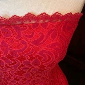 Padded Lace Embroidered