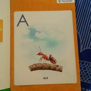 A - Z books small and capital letters