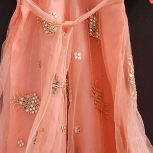 Coral Party Wear Net Dress