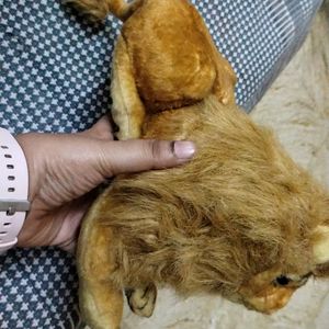 Lion Soft Toy