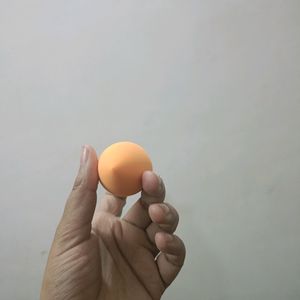 Real Technique Miracle Sponge