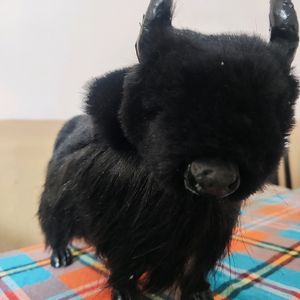 Black Yak Toy