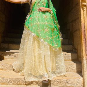 Light Weighted Lehnga Set