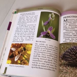 Children’s encyclopedia of knowledge