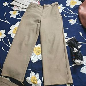 Brown Beautiful Color Pant