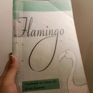 📚Class 12th Physical Education and Flamingo📚