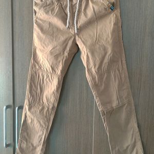 Max Light  Brown Colour Cotton Pants