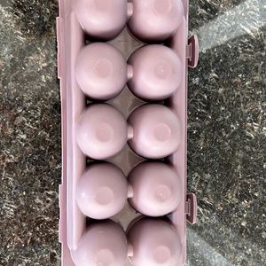 Egg Storage Box - Plastic