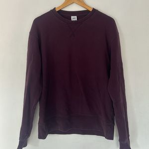 Zara Mens Sweatshirt