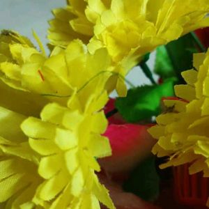 Fruit Basket And Flower Combo