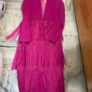 Fancy  Pants New With Tag. (fringe Dress)