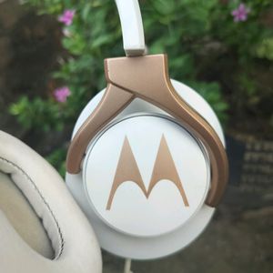 Motorola Headphone