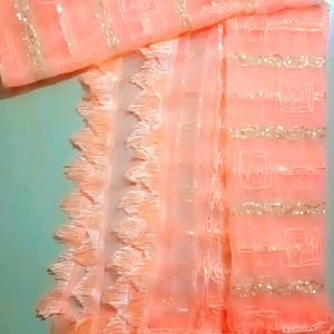 Very Pretty Fence Net Dupatta