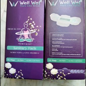 Wellwet Pads 2 Box