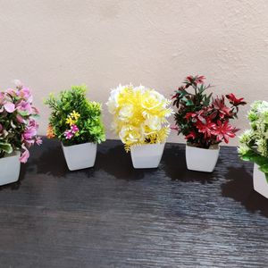 Colour Full Artificial Plants