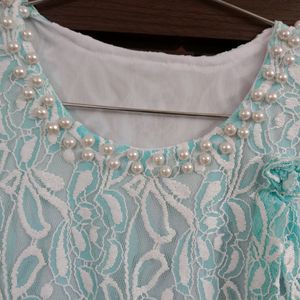 Embroided Chikankari Net Dress