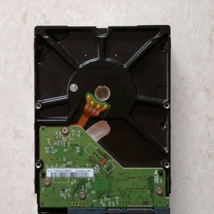 Western Digital 1 TB Hard Disk