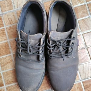 Comfeet Shoes (41)