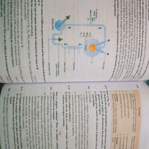 Class12 Biology Xamidea Study Guide