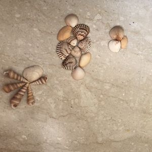 Shells To Distress