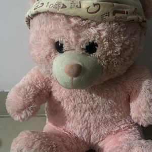 Pink Colour Teddy Bear