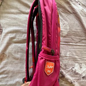 New Pink Skybags Backpack