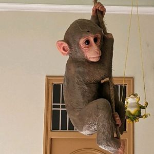 PolyResin Hanging Climbing Monkey with Jute Rope