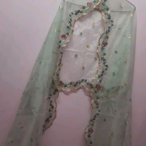 Organza And Net Dupatta