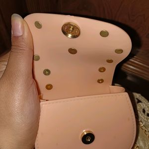 Pink Little Purse