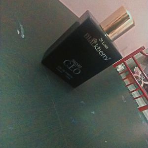 St Lois Perfume Blackberry CEO