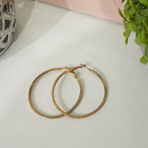 Classic Gold Hoops