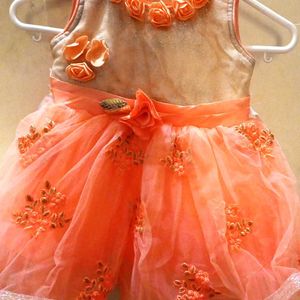 Beautiful Net Dress For Girls(Kids)