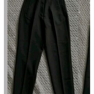 Zara High Waisted Pleated Pant