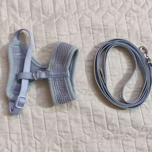 PETS EMPIRE Harness and Leash for Cat/Dog Small